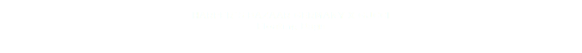 
HARPER`S BAZAAR GERMANY X GUCCI
Floating Bags