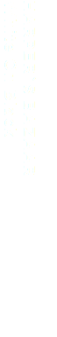 
HARPER`S BAZAAR White On Black